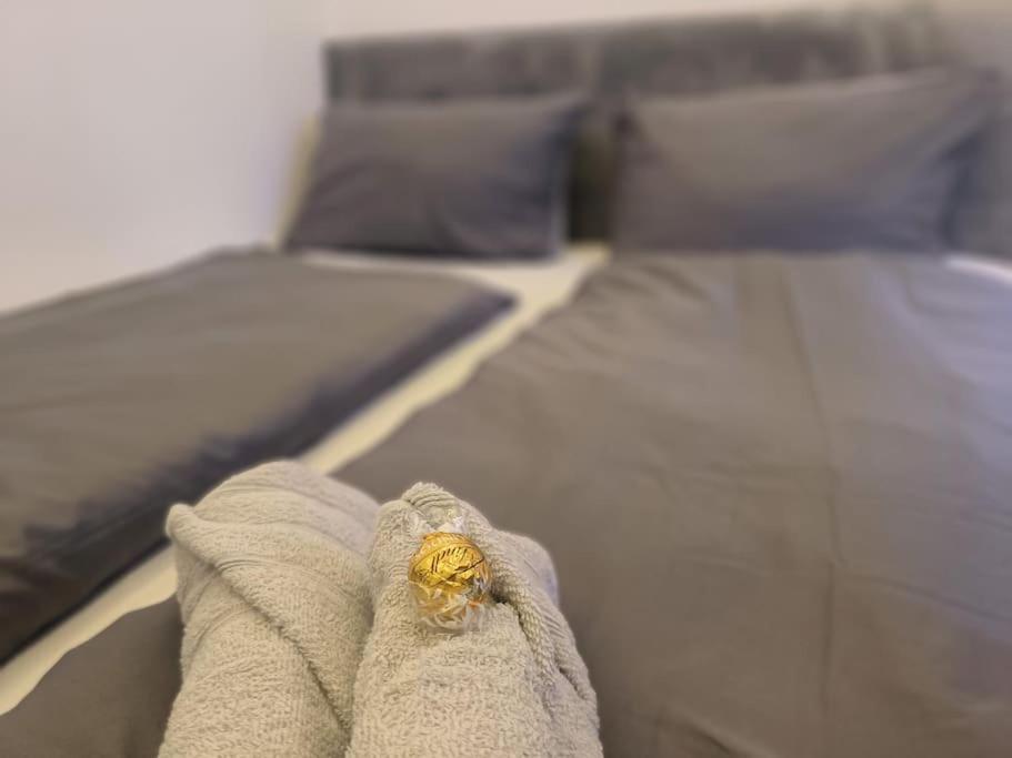 Klima Apartment Φριντρισχάφεν Εξωτερικό φωτογραφία