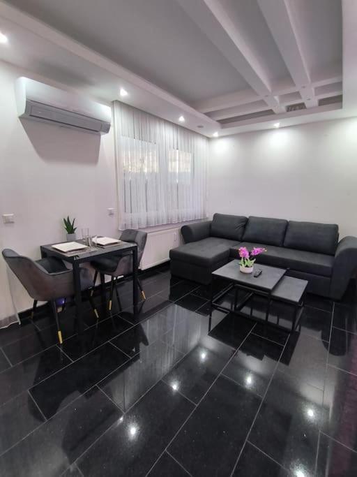Klima Apartment Φριντρισχάφεν Εξωτερικό φωτογραφία