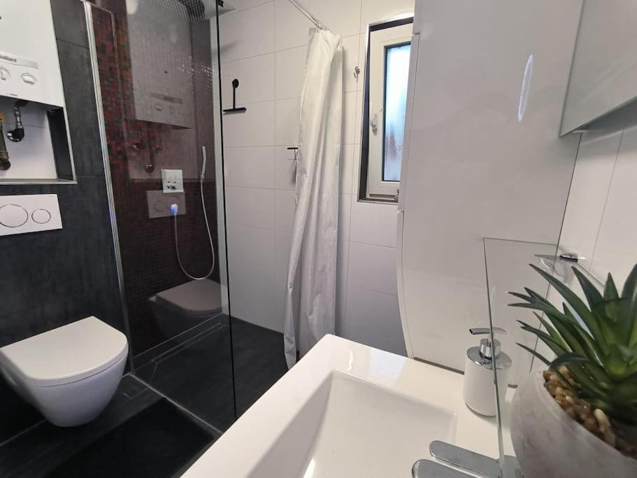Klima Apartment Φριντρισχάφεν Εξωτερικό φωτογραφία