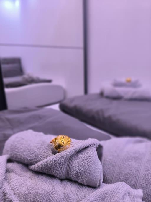 Klima Apartment Φριντρισχάφεν Εξωτερικό φωτογραφία