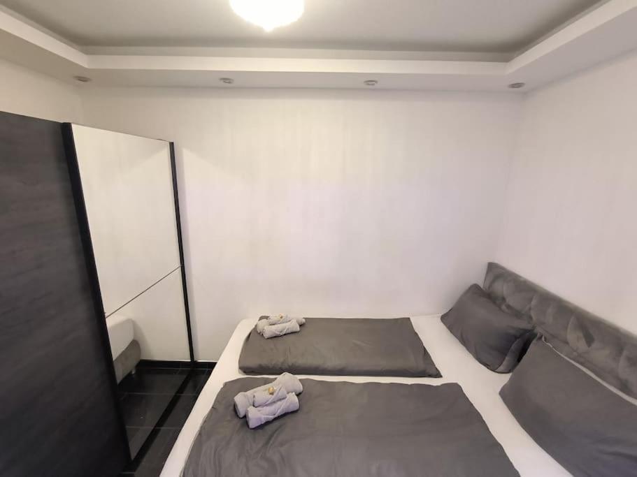 Klima Apartment Φριντρισχάφεν Εξωτερικό φωτογραφία