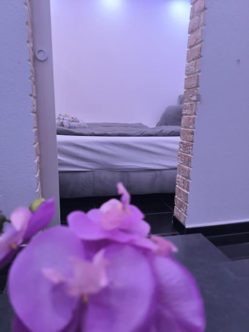 Klima Apartment Φριντρισχάφεν Εξωτερικό φωτογραφία
